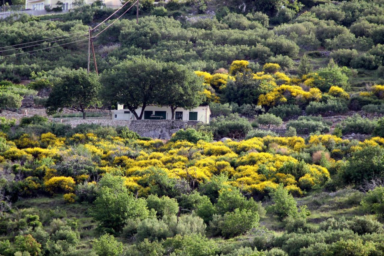 Villa  Davorka Podgora Exteriör bild