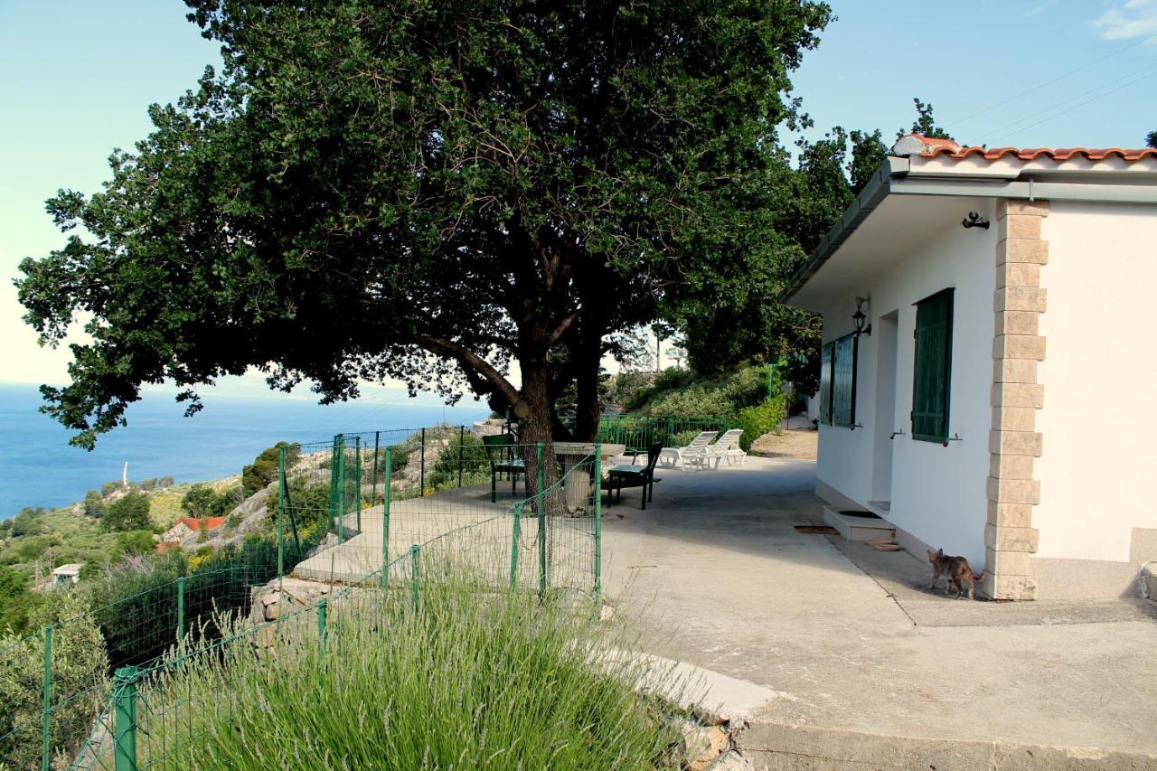 Villa  Davorka Podgora Exteriör bild