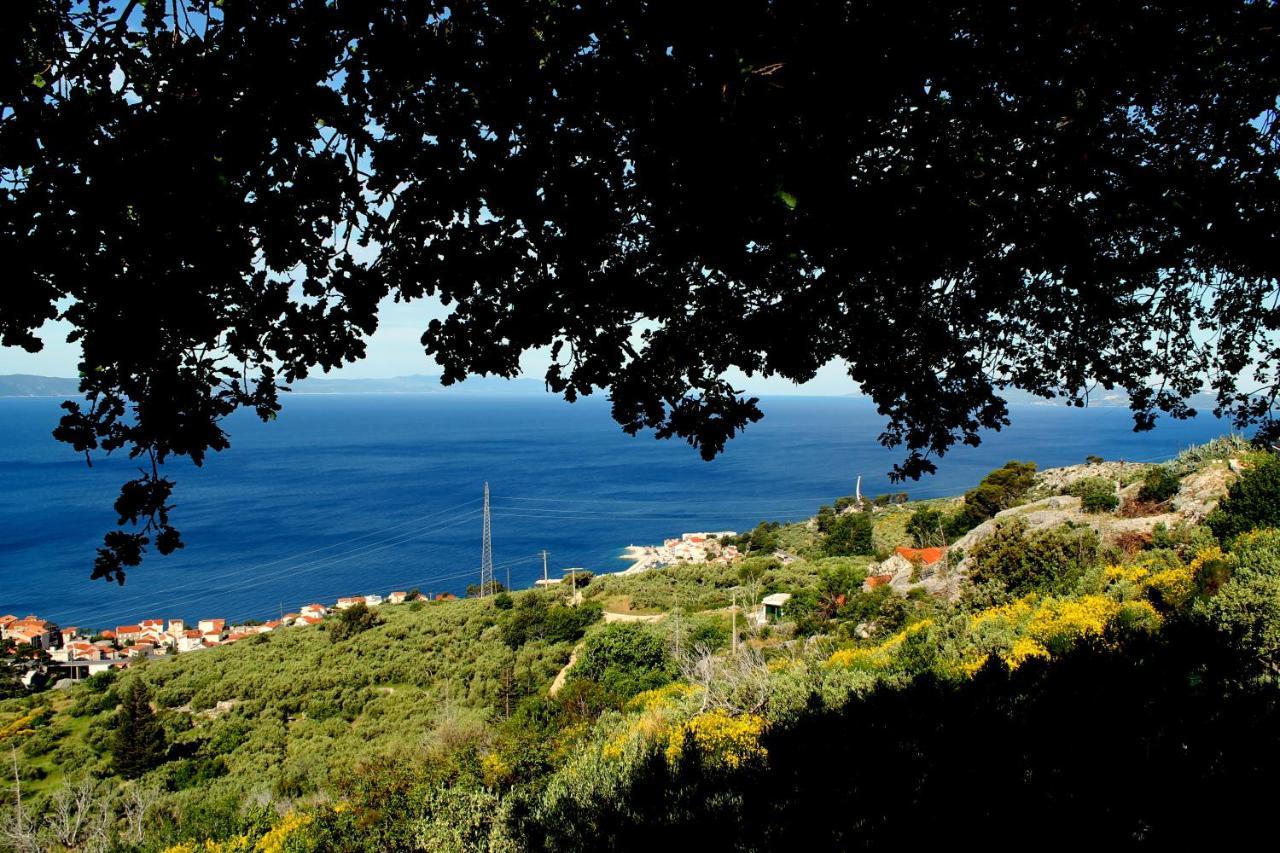 Villa  Davorka Podgora Exteriör bild